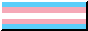 trans pride